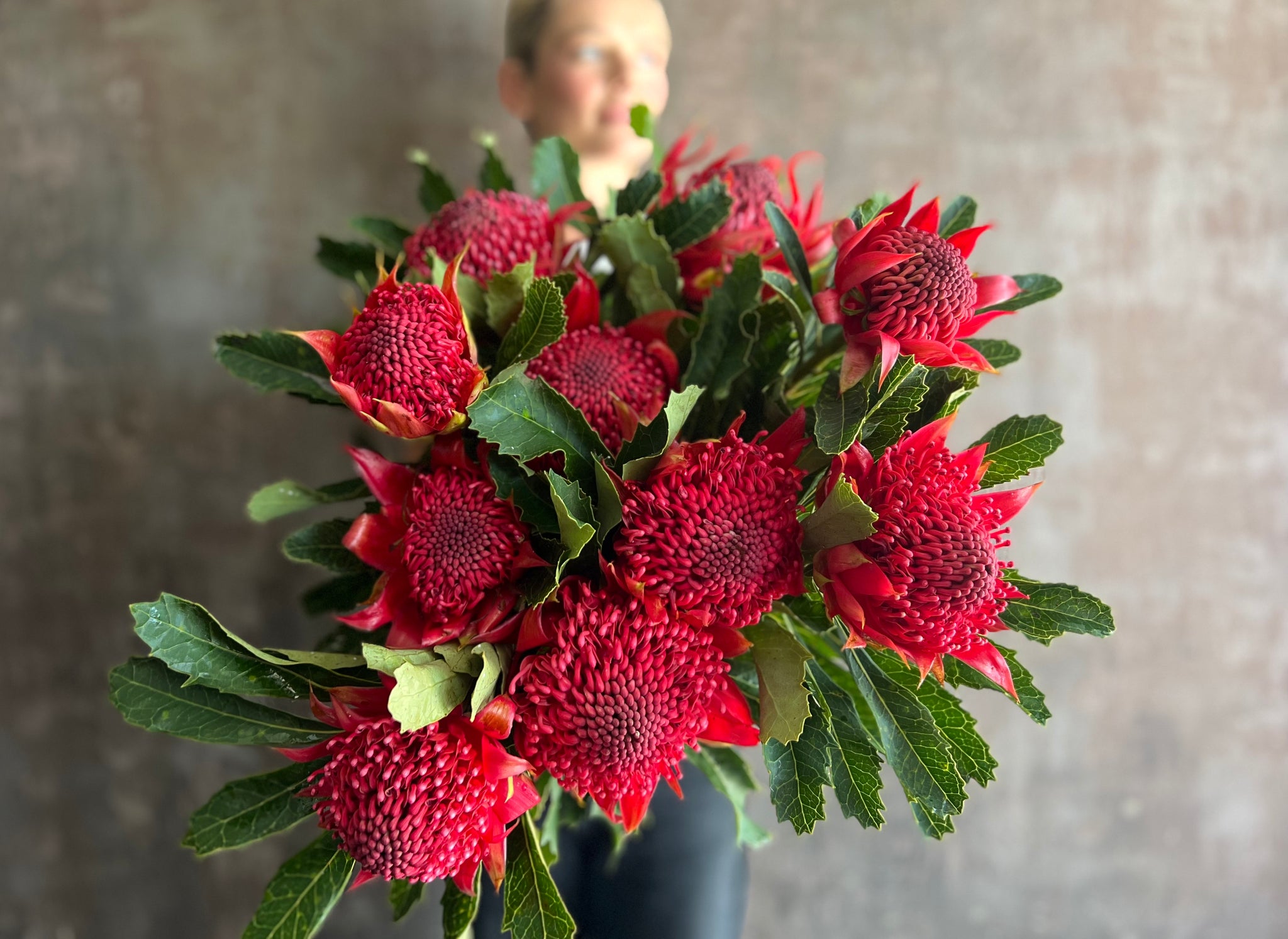 Spring Collection - Waratah time