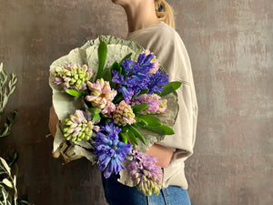 Weekly Special - Hyacinth