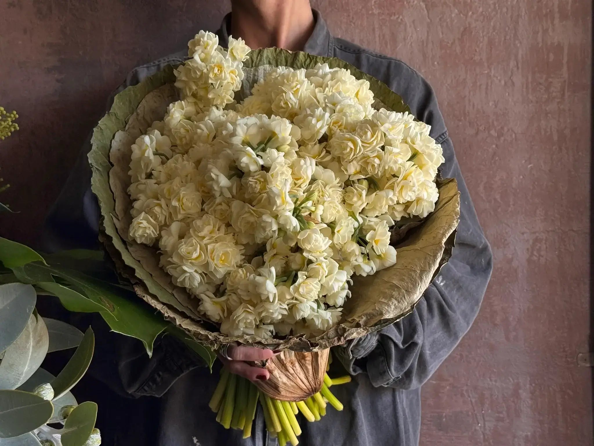 Autumn Series - Fragrant Jonquils