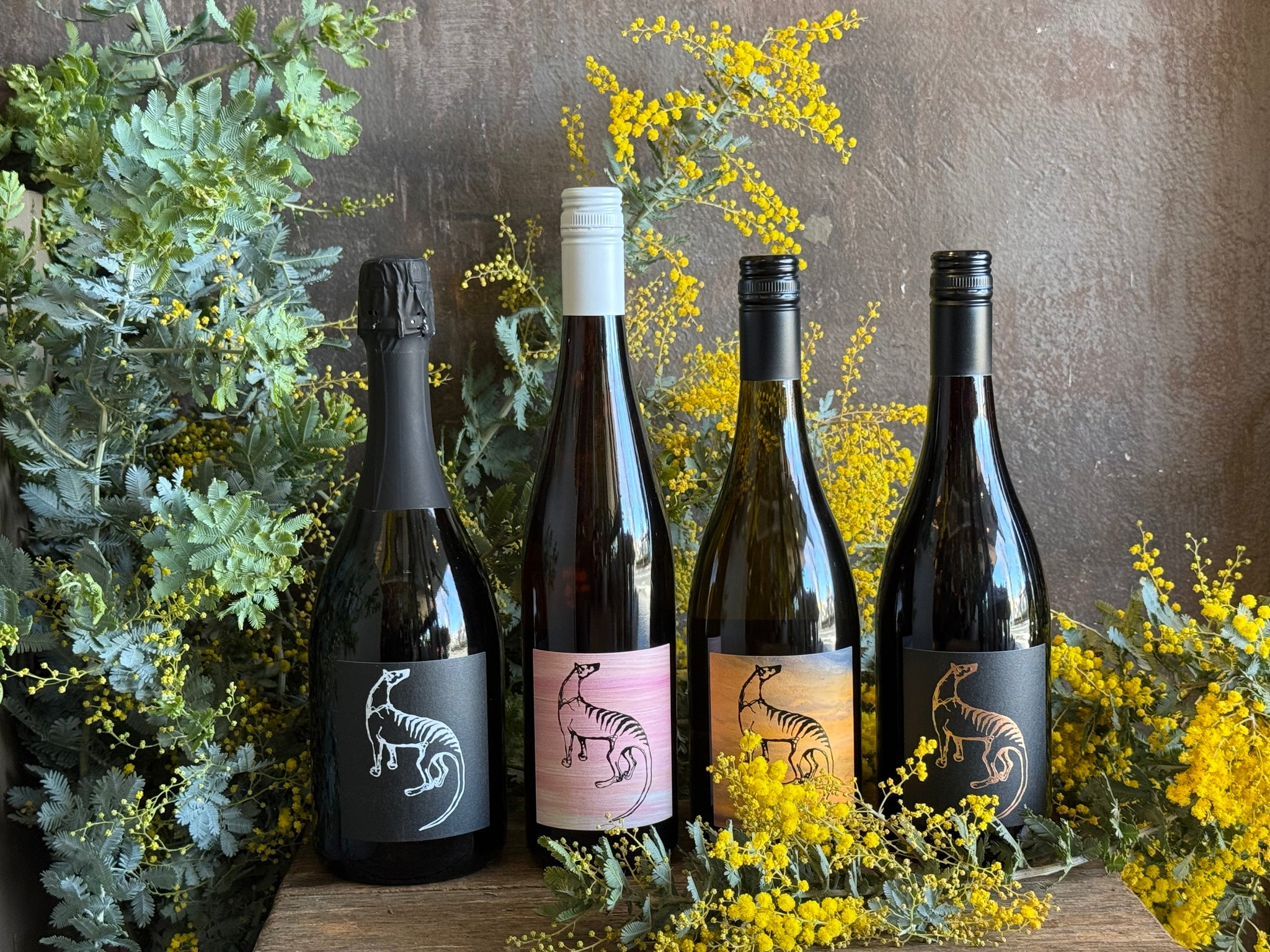 Small Island Wines