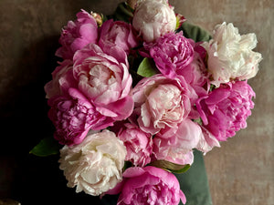 Poppin' Peonies