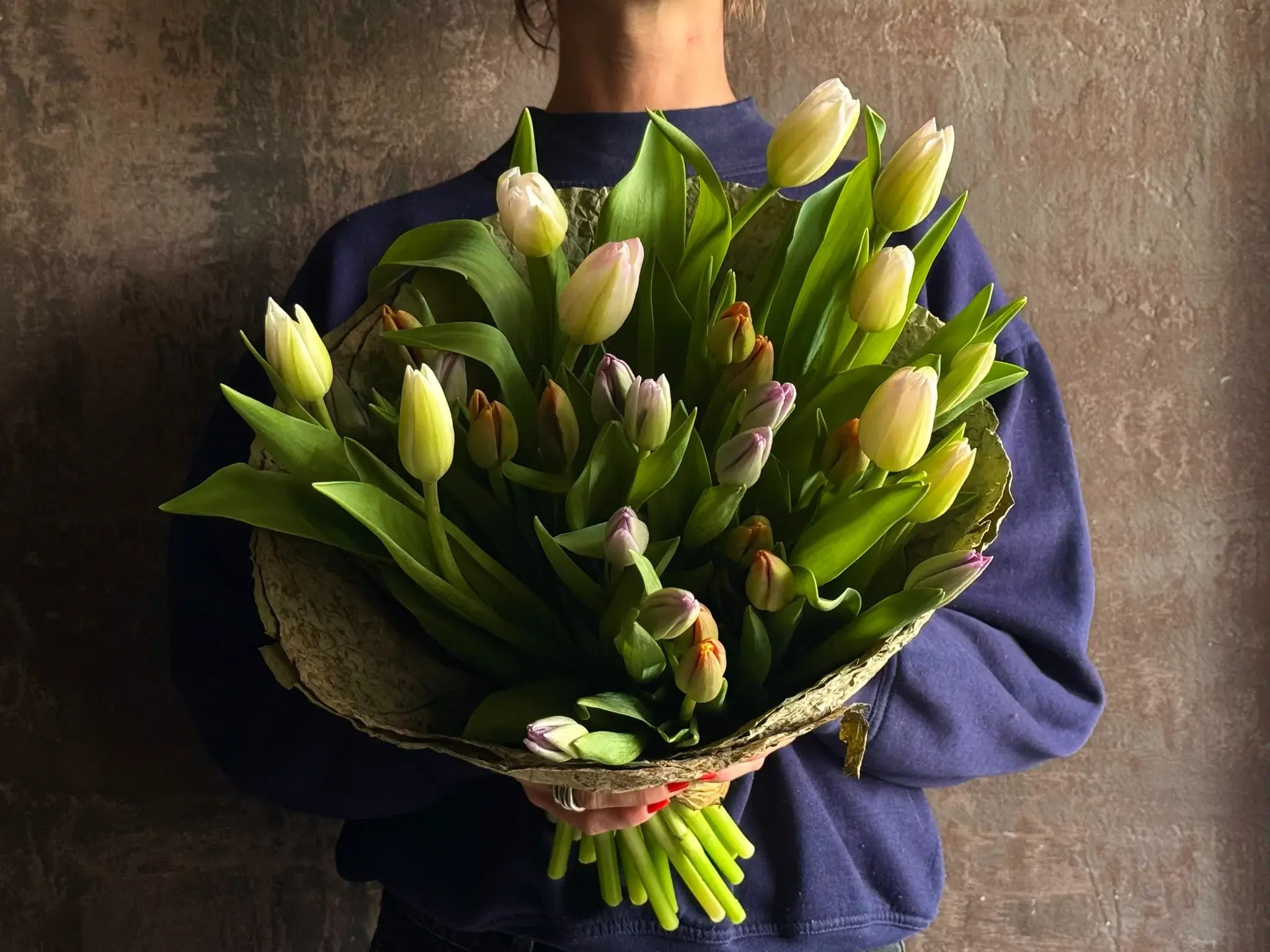 Autumn Series -  Tulips