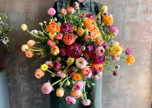 Spring Series - Ranunculus
