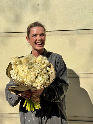Winter Series - Fragrant Locally Grown jonquils