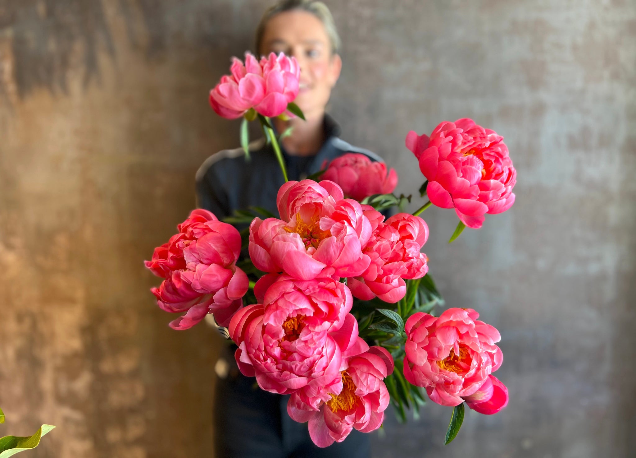 Spring Collection - peony