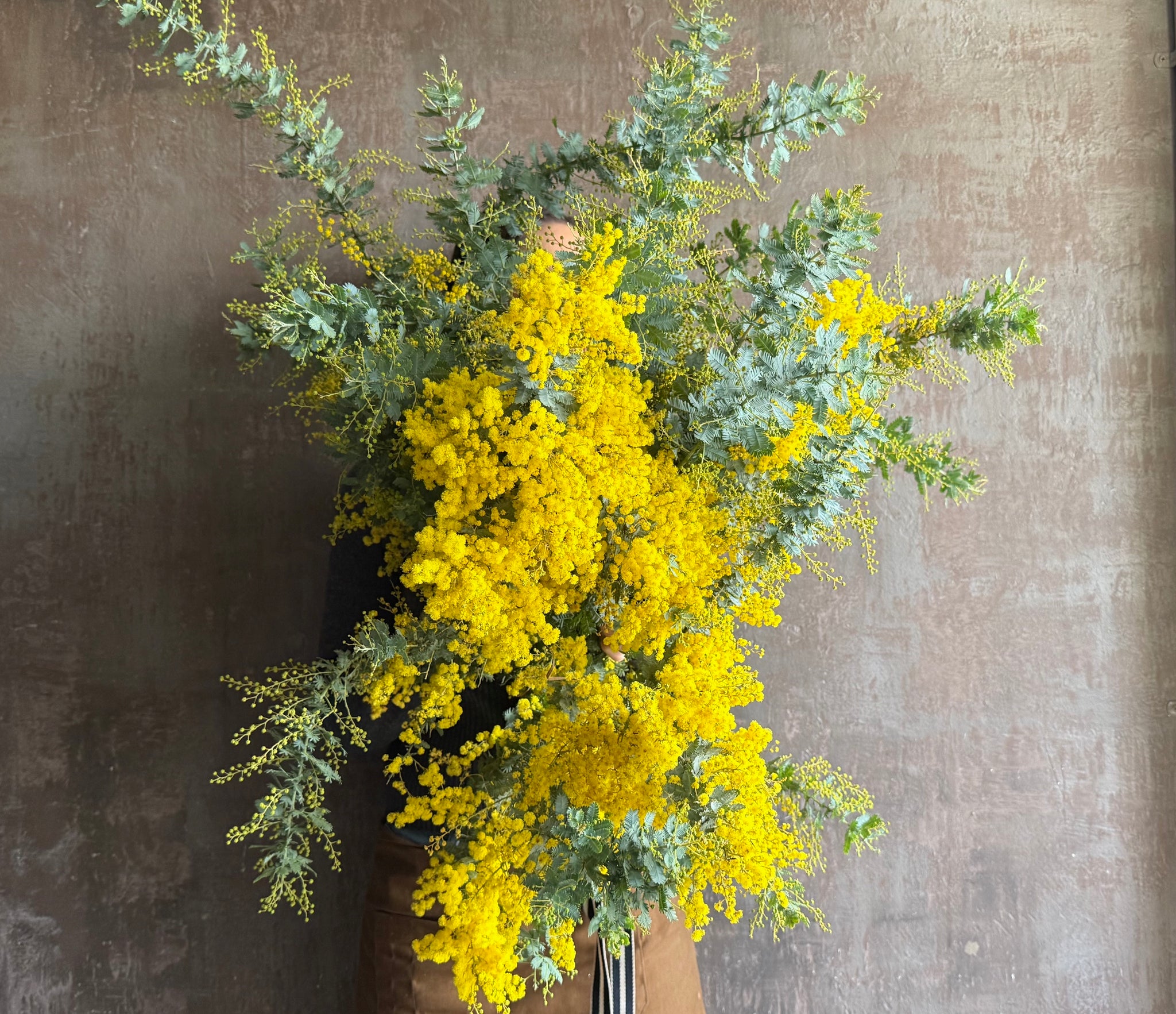 Winter Series - wattle
