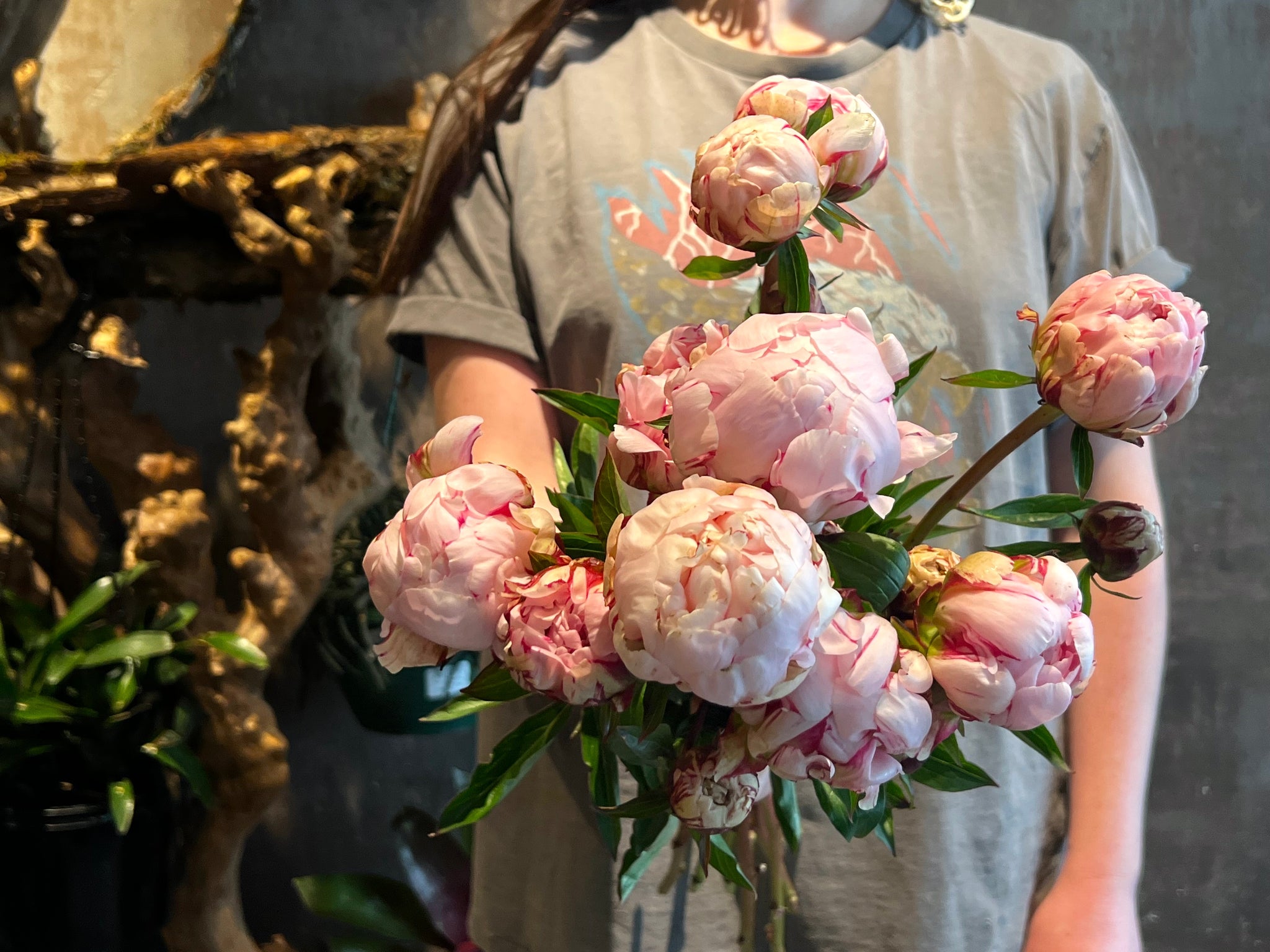 Autumn Series - Peonies